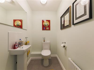 Picture 13